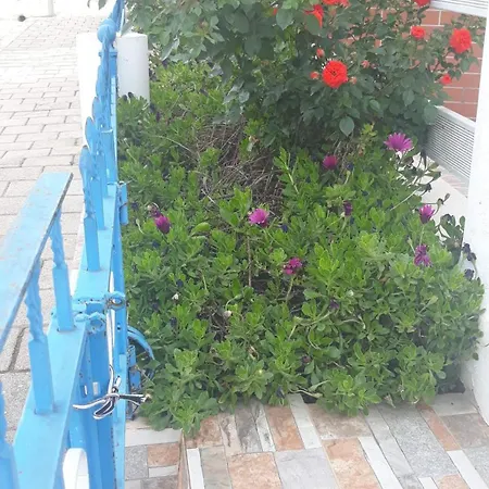 Vila Shuka Ksamil ホテル 5*